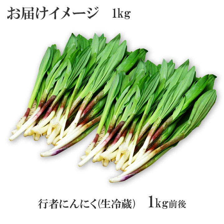 楽天市場】北海道産 行者にんにく 生冷蔵（500g4980円・1kg6580円 