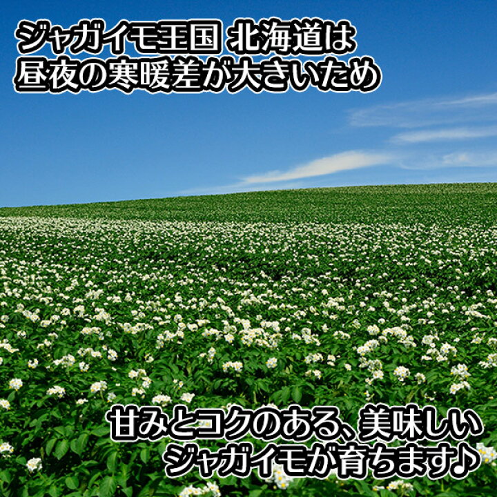 1284円 最大79%OFFクーポン 北海道 ジャガイモ インカのめざめ S-Lサイズ 5kg前後 じゃがいも 北海道産 インカの目覚め 産地直送 野菜 いんかのめざめ 1284円 最大79%OFFクーポン 北海道 ジャガイモ インカのめざめ S-Lサイズ 5kg前後 じゃがいも 北海道産 インカの目覚め 産地直送 野菜 いんかのめざめ