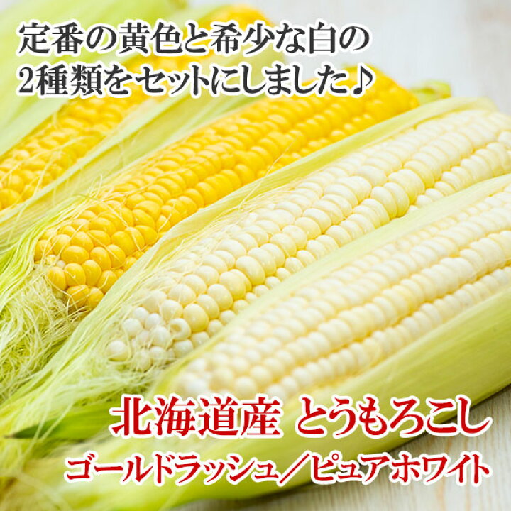 楽天市場 北海道産 トウモロコシ 食べ比べセット 10本 ピュアホワイト ゴールドラッシュ 黄色 白い とうもろこし 北海道 とうもろこし 甘い ホワイトコーン 生食 産直 スイートコーン とうきび トウキビ お中元 残暑見舞い バーベキュー 食材 送料無料 出荷予定 7月