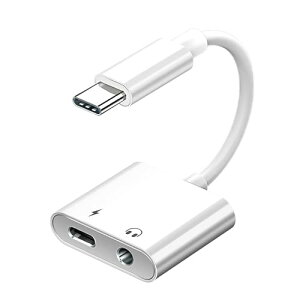 2in1 ^CvC Cz ϊA_v^ USB-C 3.5mm CzϊP[u 60W }[d Hi-Fi ʘb ʒ yΉ iPhone 16 15 iPad AndroidȂType-CC^tF[XΉizCgj
