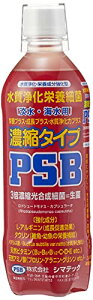 V}ebN Zk^CvPSBvXEvXEvX 500ml