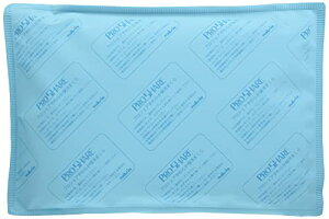 アズワン やわらか 保冷枕 レギュラー アイス枕 不凍タイプ 固まらない 二重構造 320 mm×220 mm