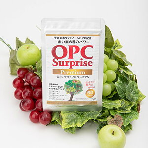 OPCTvCY 1 60  A OPC VRR |tFm[ Tvg