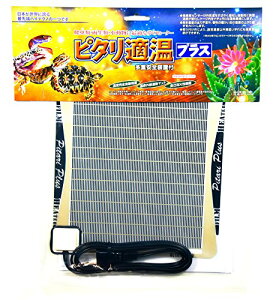 chimoo ݂ǂ菤 s^KvX 2