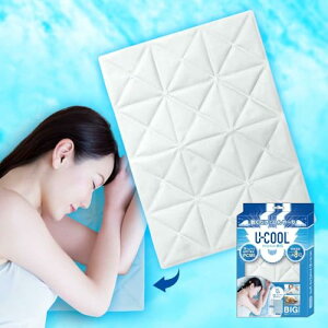 y2025vzX ACX Ђ}bg UCOOL p JԂ10000gp\ [40×30cm] ۗ▍ N[ MǑ΍ p}bg 傫 IȂ ppbh JԂgp\ ⊴