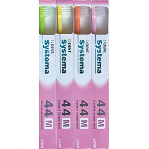 CI DENT . VXe} uV ×4{ 44M(RpNg ӂ) {