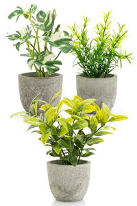 October1st tFCNO[ ϗtA lH 3_Zbg p G}H  CeA  ~j indoor plants lHA fake plant   sv 蕨 Mtg ̓ ̓ v[