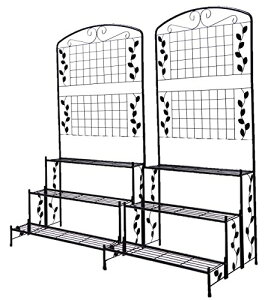 rOAEg(Living Out) ACAv^[X^h eBXt ubN 80×s60×162cm(1䓖) 3i^Cv 2g t[X^h v^[̐ c̋ԉo v
