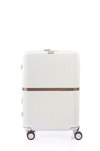 [T\iCg] X[cP[X ~^[ MINTER Xsi[61/22 GLXp_u 53/60LL 61cm 3.8kg AC{[