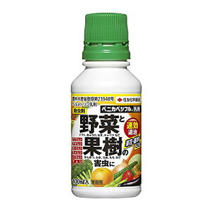 ZFw| E xjJxWt 100ml   ʎ   