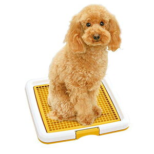 pgC q^LtAی쌢pbhz_[bVg[jOgĈ߂̃g[jOpbhgC pgCg[ (F : Yellow, Size : 32x3x32.5cm)