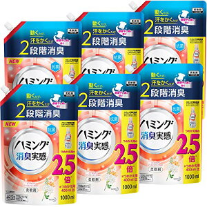 yP[X̔zn~OL [sAWX~\[v̍ lߑւ1000ml×6 ̔ e сA2iKL