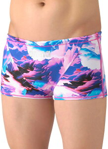 �y���[����OK�z2026SS �����Y ���j�g���[�j���O���� �X�p�b�c �V���[�g���b�O ���j ���K�p �V���[�g ARENA(�A���[�i) AS6SWM17M