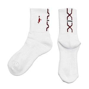 y[OKzX^_[hpl\bNX PANEL SOCKS ԃ\bNX zCg C IN THE PAINT(CUyCg) ITP19332W