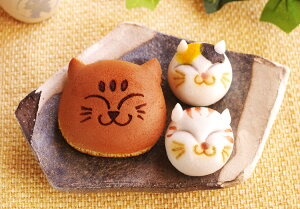 lCiyL̘aَq3C lߍ킹ZbgzǂĂ P\ ˂ ~PlR   i j j Ε Mtg 蕨 َq 񂹃XC[c  Ԃ y