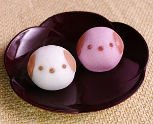 y̍g܂񂶂イ2(EC`S)zaَq Mtg ǂԂ\  P\ uC_  p[eB[ j oY 蕨  Ck  EGfBO A  a 