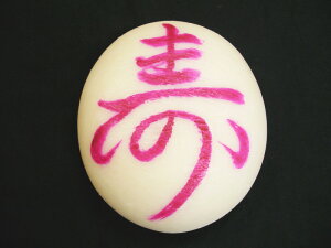 yjza 2kgyꏡ݁Eꐶ݁z  j w  菑 a Mtg 蕨   v[g O