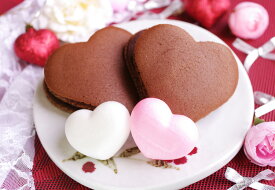 【和菓子】バレンタインギフトセット(チョコどら焼き・ハート最中)【詰め合わせ】贈り物 プレゼント もなか どらやき パーティー 記念日 ギフト ハート 可愛い チョコレート イベント お祝い 誕生日 お返し 手土産 引菓子 贈答品