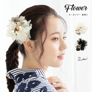 l  hCt[ eCXg U Ǝ   I[KW[ ݑ  t[ _ RT[W   a 