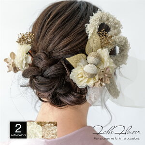  2_Zbg l Ǝ fB[X x[W zCg sN ݃J[ [t ݑ t[  ʏ RT[W wAANZT[ Up їp 