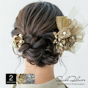  2_Zbg fB[X l Ǝ S[h uE O[ Vo[   ݃J[ `[  { RT[W wAANZT[ Up їp 