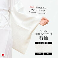 替え袖 和装スリップ用 ワンタッチ 白 女性 レディース リンズ 通年 夏 絽 半襦袢 長襦袢 うそつき 日本…
