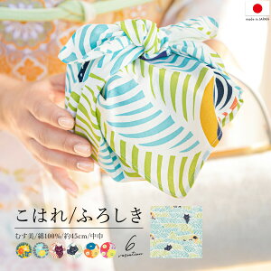 y܂ƂߔՂJÁő15OFFN[|9/25~28zC~  {  ނ GRobO obO 45cm  n`h L   F  sN Jt ͂ katakata [֑Ή Mo