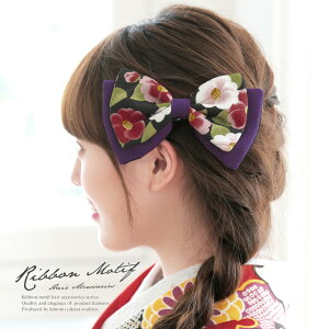  { F p[v  ubN ڂ ֕ ԕ k ߂ R[  l Ǝ U ь wAANZT[ { a