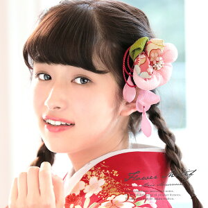  l sN ~  t[ a k ߂ Ղ Ԃ R[  Ǝ U ь wAANZT[ { a