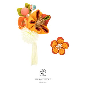  l ܂ݍ׍H 2_Zbg F IW    s|} ʏ k ߂ RT[W [ R[ Us  wAANZT[ U Ǝ { a