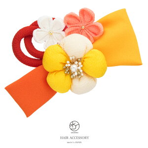  l Fn CG[ Jt ~   { ۂR ܂ݍ׍H k ߂ Ղ R[  Ǝ U ь wAANZT[ { a