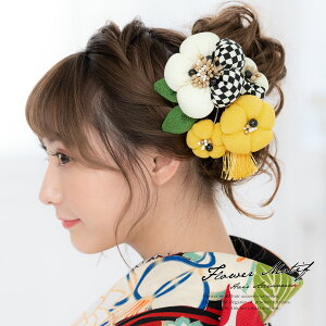 y50%OFFX[p[SALEz l 2_Zbg  zCg F CG[  coL  RT[W k ߂ [ R[ Us  wAANZT[ U Ǝ 