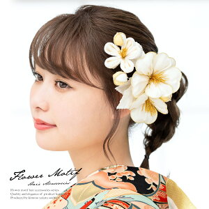 y50%OFFX[p[SALEz l 2_Zbg  zCg F  ~   dq  ܂ݍ׍H RT[W R[  Ǝ U ь wAANZT[ {