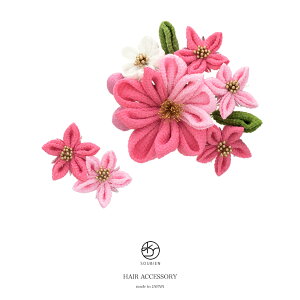 }\ő1000~N[|zz11/11 1:59܂  l ܂ݍ׍H 2_Zbg KNF sN e ~  RT[W R[ Us  Ǝ U ь wAANZT