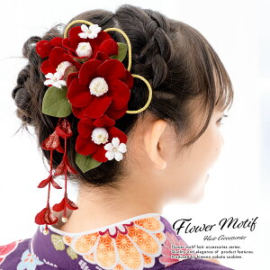 成人式 赤 髪飾り 女性和装小物 履物 通販 人気ランキング 価格 Com