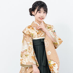 y\zуZbg Ǝ w ̎q WjA      sN  ԕ floro ڑ  WjA Zbg w w ̔ n  g138175cmΉ