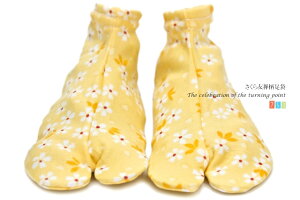 C[OXӍՁő1000~N[|zz q ܎O  CG[  3`4 5`6 7`8 LbY ǂ  ̎q  a a