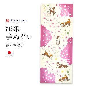 全品対象☆最大1000円クーポン配布中☆10/30まで てぬぐい 手ぬぐい 手拭い おしゃれ 日本製 タペストリー 額縁 春のお散歩 犬 柴犬 桜 注染 kenema メール便対応