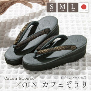 草履 25cm 女性和装小物・履物 | 通販・人気ランキング - 価格.com 