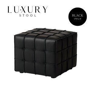 {v Xc[  U[ EW zeCN `FA o[`FA lp {bNX 50cm 41cm  qCX ֎q RpNg`FA `FA[  qǂ  | RpN