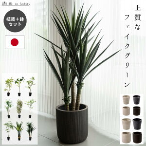 ウンベラータ 鉢 おしゃれ」の人気商品一覧・価格比較 - 価格.com