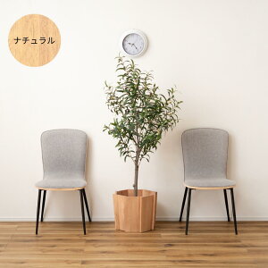 yr[Tz Jo[  Aؔ ؐ v^[ STCY ϗtA X^h A i` uE S2F VR  ؖ ~fB I[N AbV 38cm 30cm k V