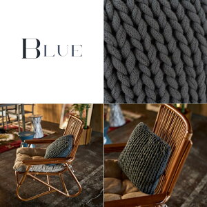 yr[Tz NbV  jbg 40cm AC{[ _XeBsN _XeBu[ ݃J[ \t@NbV Qp ` \t@ ؍ lC Rbg  sN u