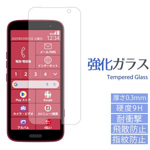 yZ[z 炭炭X}[gtH F-53E KXtB f53e t ی V[ tB 炭炭z 炭炭tH hR  XN[K[h
