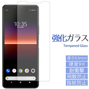 XPERIA 10 II KXtB SO-41A SOV43 t ی V[ tB xperia10II GNXyA10II so41a au docomo  XN[K[h