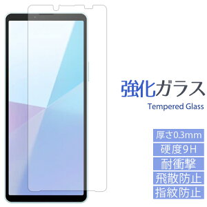 yZ[z XPERIA 10 VI SO-52E SOG14 A402SO KXtB t ی V[ tB xperia10vi GNXyA so52e  XN[K[h