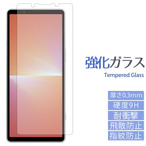 yZ[z XPERIA 5 V SO-53D SOG12 XQ-DE44 KXtB t ی V[ tB xperia5v GNXyA so53d  XN[K[h