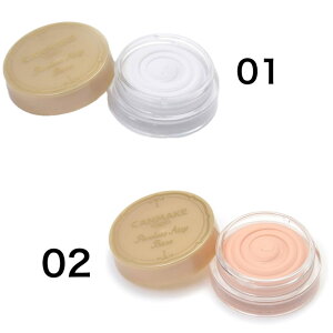 CANMAKE LCN |AXGA[x[X