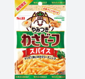 S&B やみつき！わさビーフスパイス 20g×2袋セット エスビー食品 エスビー食品　1000円ぽっきり！