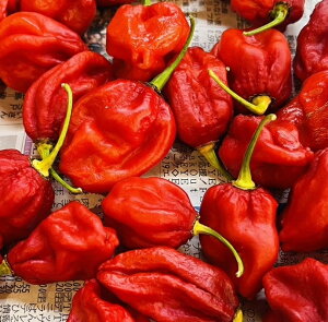 nolhhq@Y@u[gEWLAyz@@@15@n